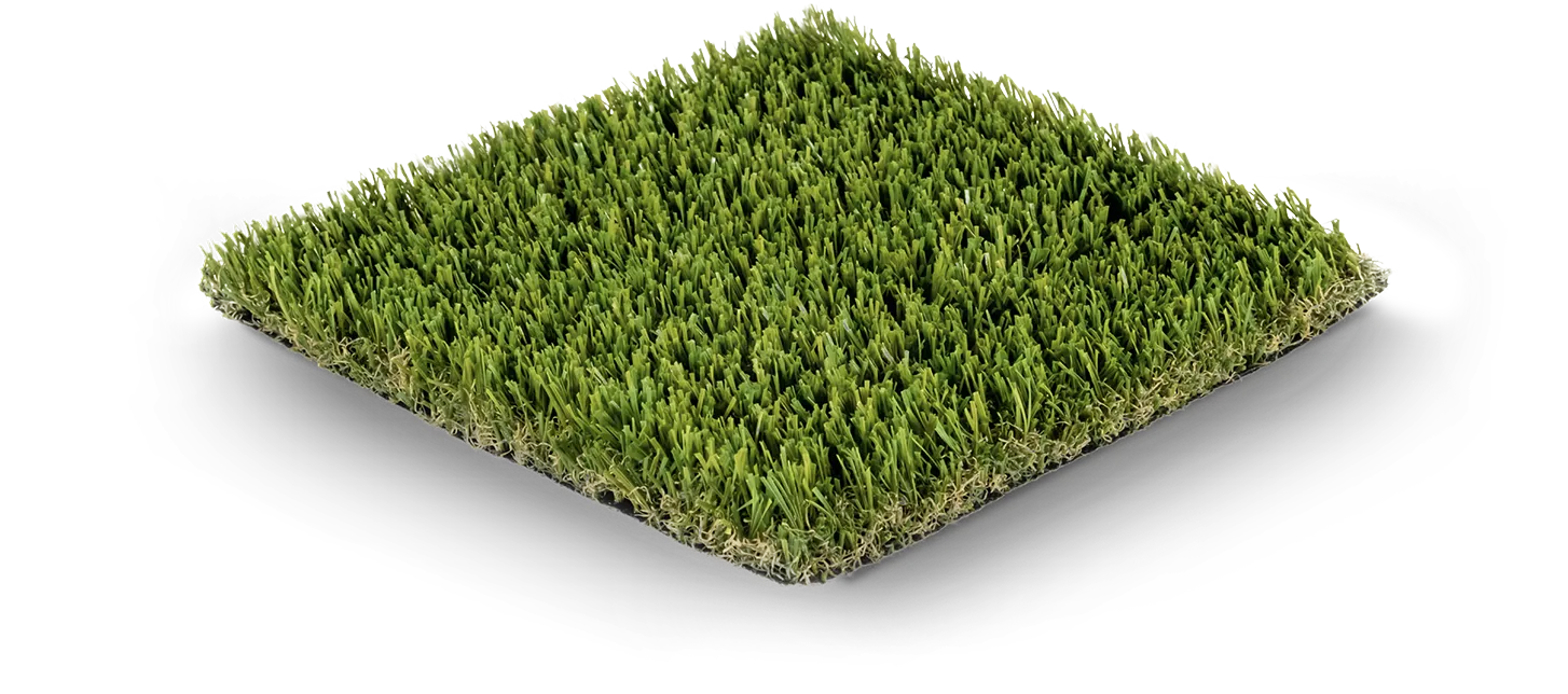 EvoScape Evo 001
