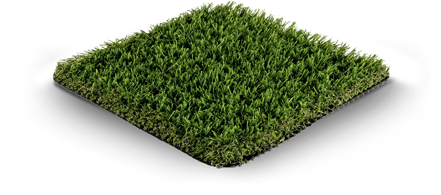 EvoScape Evo 002