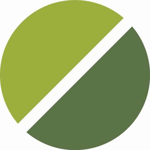 Blade Shape Icon