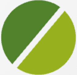 Blade Shape Icon