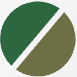 Blade Shape Icon