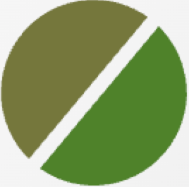 Blade Shape Icon