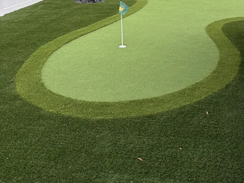 Backyard putting green with collar fringe and palm tree