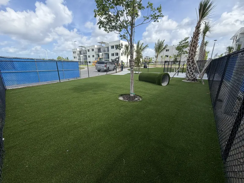 The Best Artificial Turf for Dogs in Florida (and How to Keep It Odor-Free)