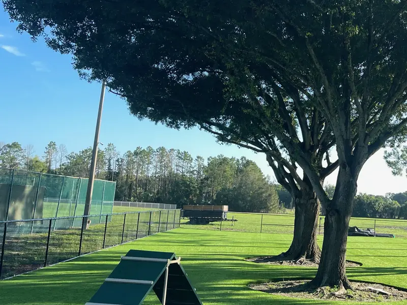 Pet turf installed around mature oak trees with an agility ramp in a community dog park