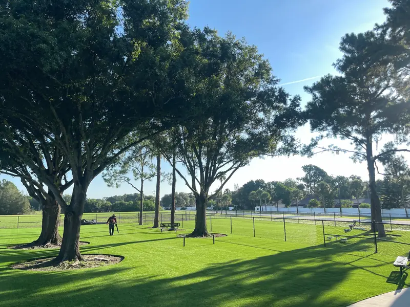 Shaded community dog park lawn with pet turf and tree rings