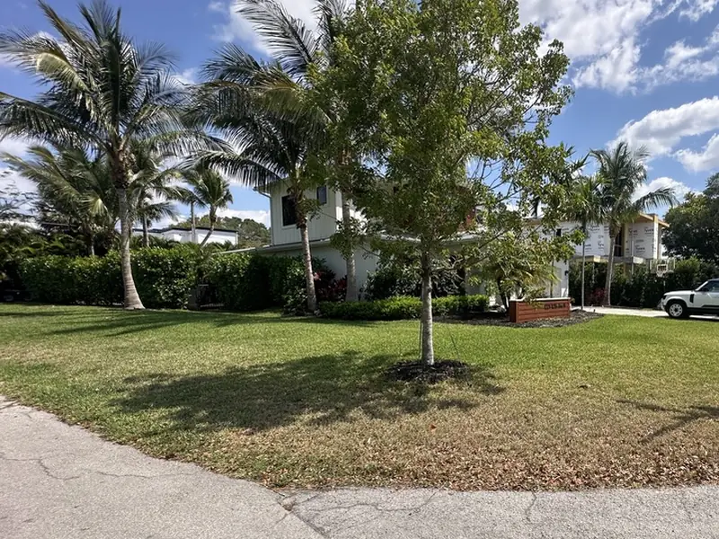 Naples front lawn with thin, dying grass before artificial turf