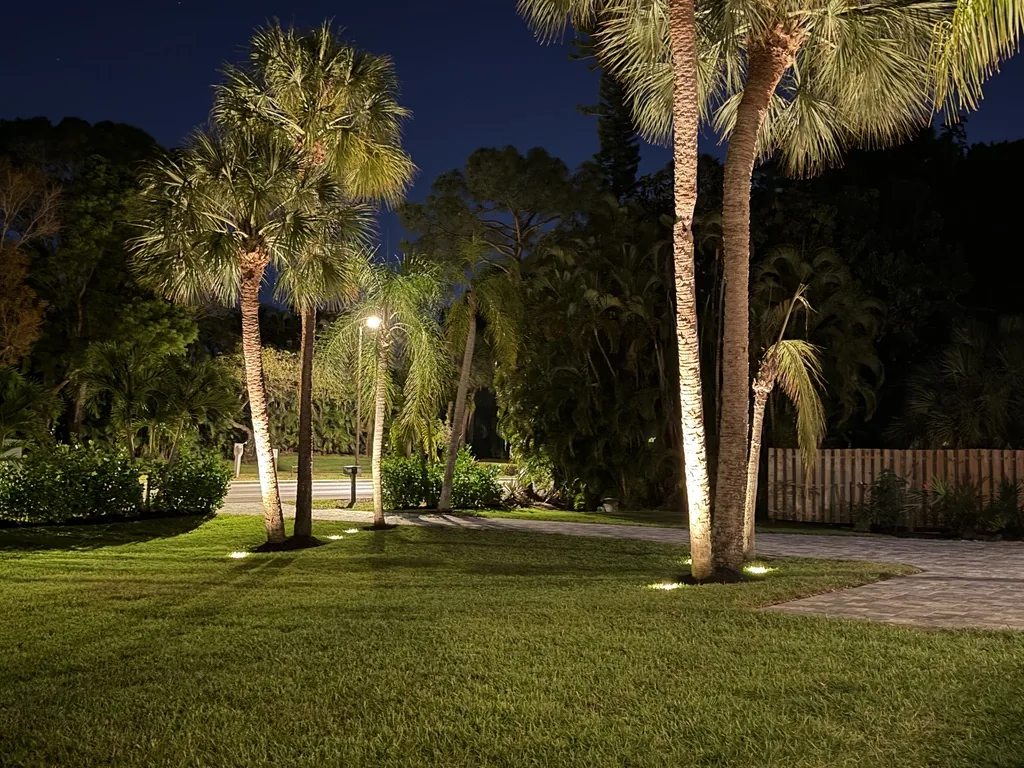 Palm trees uplit at night with in-ground well lights across a front lawn and paver driveway