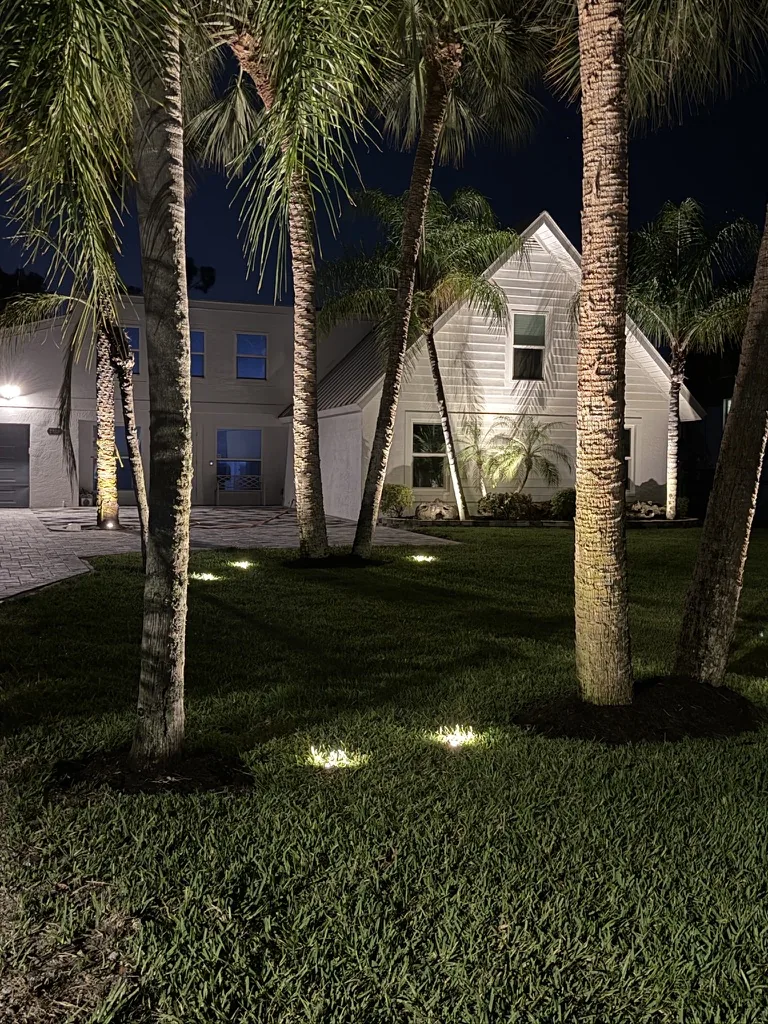 Uplit palm trunks framing a white home facade at night