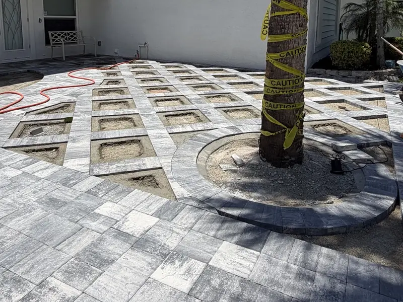 During: new pavers installed with turf pockets and a tree ring in Bonita Springs