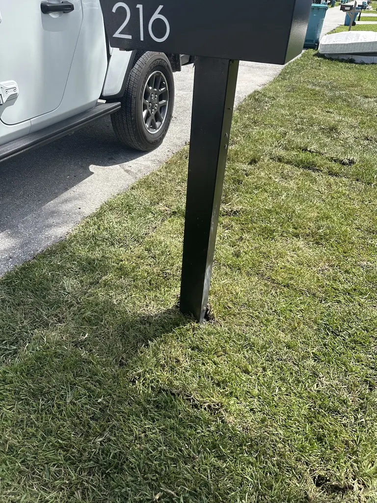 Close-up of fresh sod laid tight and trimmed clean along the driveway