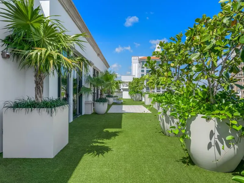 Coral Gables rooftop turf walkway lined with palms and planters