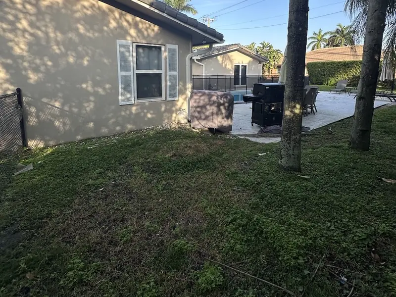 Before: patchy grass side yard