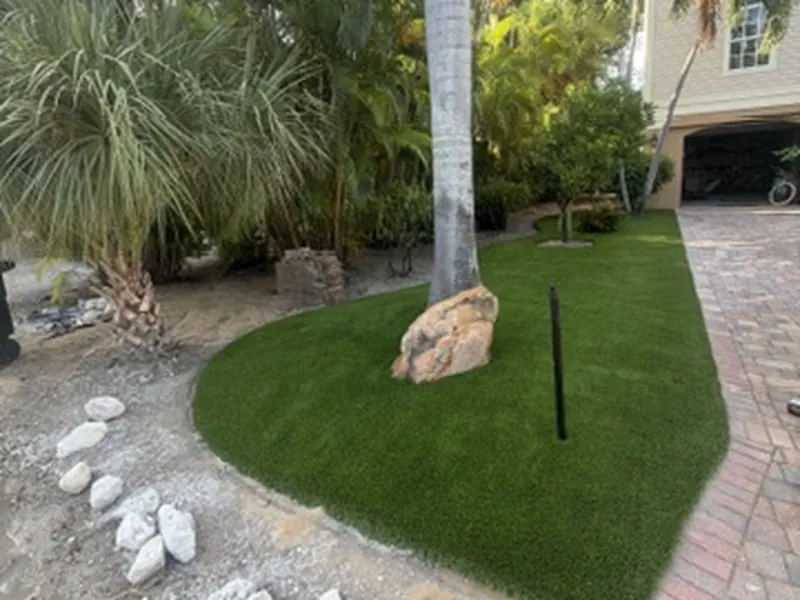 Curved artificial grass bed with boulder and palms