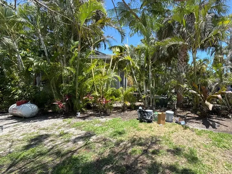 Before: patchy, sandy lawn on a Siesta Key home in Sarasota
