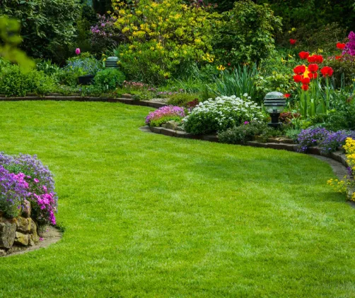Artificial turf lawn by Creative Grounds for Marco Island homeowners